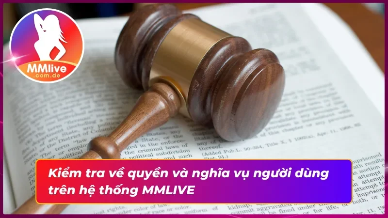 Điều khoản và điều kiện MMLIVE về quyền và nghĩa vụ người dùng