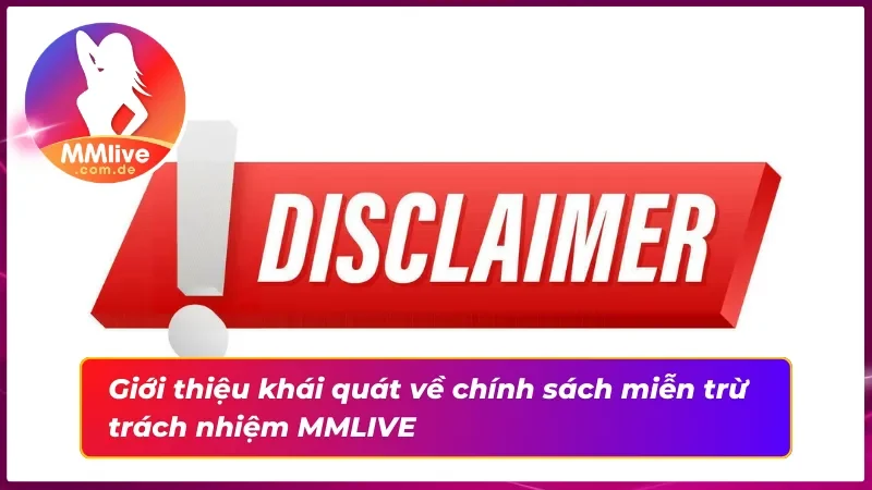 Giới thiệu khái quát về chính sách miễn trừ trách nhiệm hiện nay