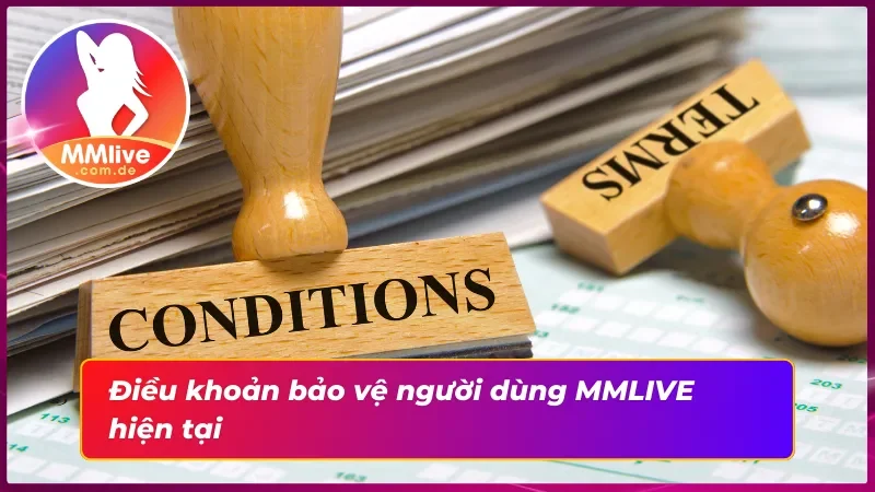 Miễn trừ trách nhiệm trong điều khoản bảo vệ người dùng